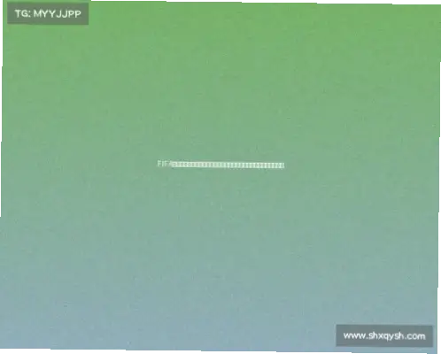 世界杯决赛门票价格与抢票攻略